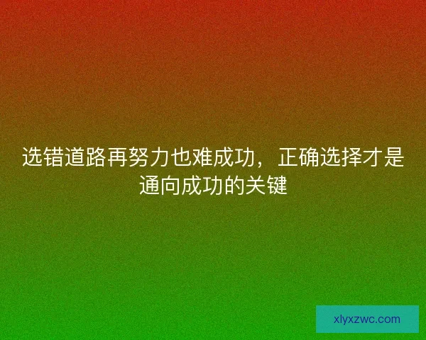 选错道路再努力也难成功，正确选择才是通向成功的关键