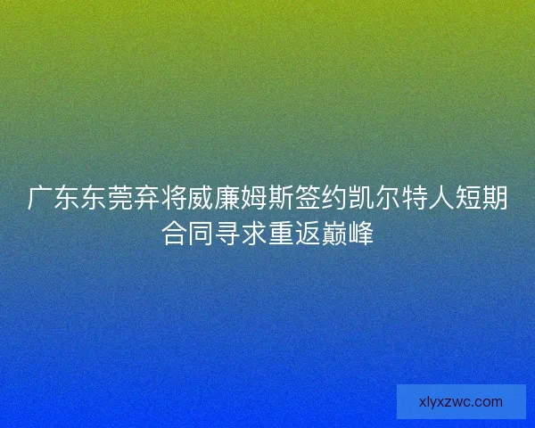 广东东莞弃将威廉姆斯签约凯尔特人短期合同寻求重返巅峰